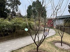 -北京市劳动人民文化宫(太庙)