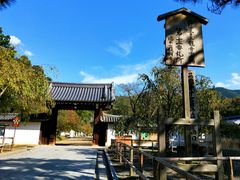 -醍醐寺