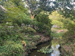 -上海醉白池公园
