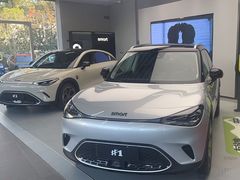 -上海浦东smart汽车全功能店(金桥店)