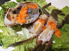 膏蟹-海逸海鲜酒家(古北店)