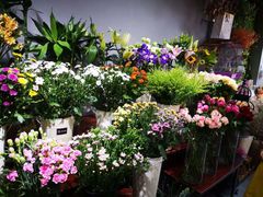 -何兮花店·气球派对鲜花店(马桥银春路万科城店)