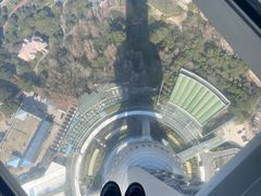 -东方明珠广播电视塔