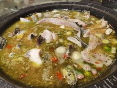 鲜椒麻辣青锅-鲜椒鱼·雅安地标性美食