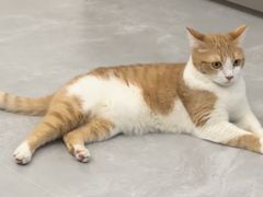 -宠颐生宠物医院外科·内科·皮肤科·影像科(石龙店)