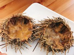 -海胆小馆(东北水饺·春柳店)