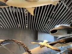 -陕西自然博物馆