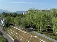 -北川巴拿恰
