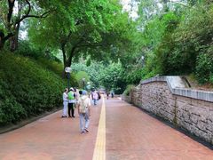 -九龙公园