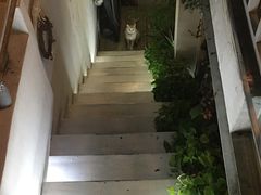 -小时光咖啡馆(北锣鼓巷店)