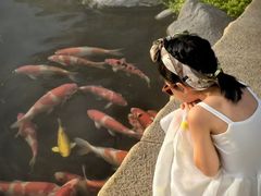 -罗红摄影艺术馆