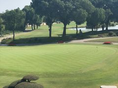 -旭宝高尔夫俱乐部