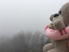 -紫金山山顶公园