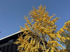 -袁家村关中印象体验地(大唐不夜城店)