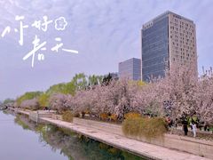-海棠花溪(元大都城垣遗址公园)