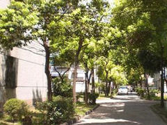 -上海市宝山区罗店医院