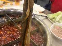-朱氏胖子烂火锅(洪崖洞店)