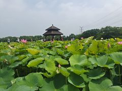 -梁鸿国家湿地公园