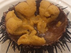 海胆-奕景海鲜(星海广场店)