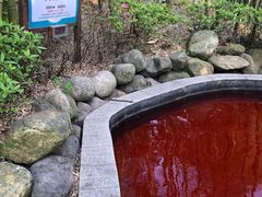 -江南天池高山汤泉城