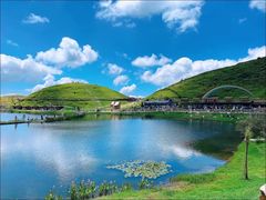 -仰天湖大草原