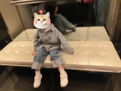 -长沙尼依格罗酒店
