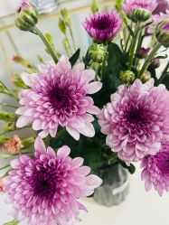 -美肤盾祛痘·问题肌头疗管理中心