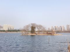 -洋湖国家湿地公园