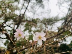 -热田神宫
