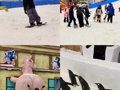 -广州热雪奇迹