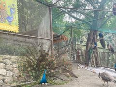 -成都欢乐谷