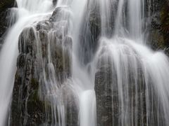 -龙苍沟森林公园