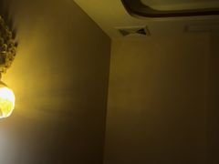 -金色莲花泰式按摩SPA(石牌店)