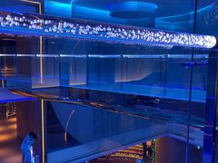 -水之梦(黄浦店)