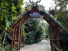 -海南槟榔谷黎苗文化旅游区