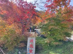-龙道沟景区
