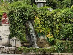 -勝記酒家·37年老字号·经典粤菜(荔枝公园店)