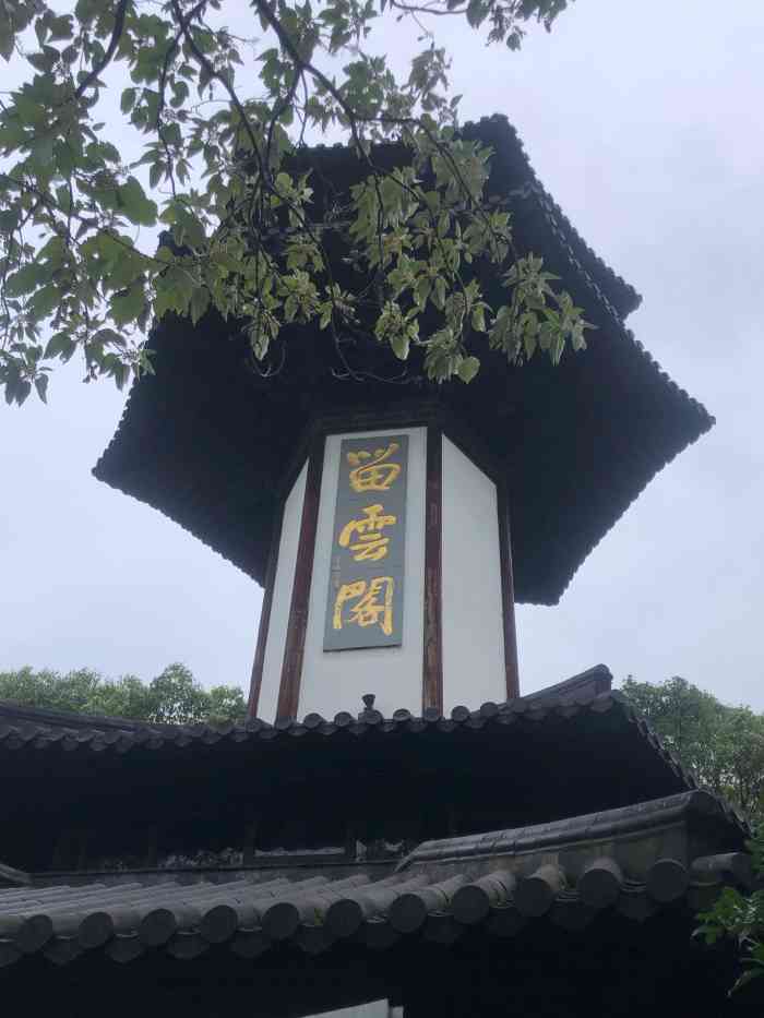 上海佘山国家森林公园天马山园-"上海很少有这样的山了,一开始知道它