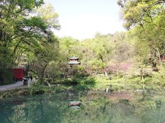 -茶颜悦色(岳麓山顶店)