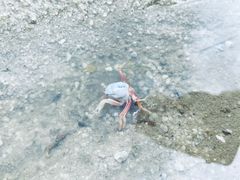 -红树林天天赶海