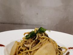 -VEGA VEGA 我行我素