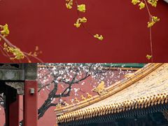-四季民福烤鸭店(前门廊房二条店)