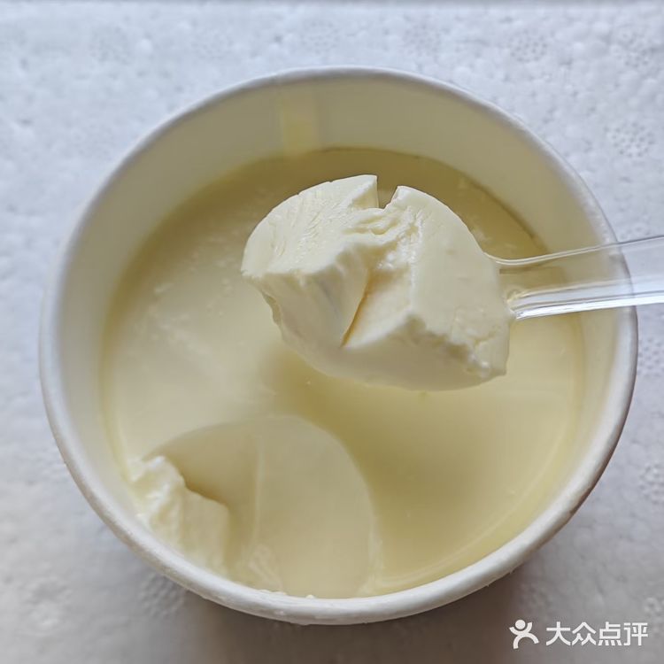 老酸奶口感
