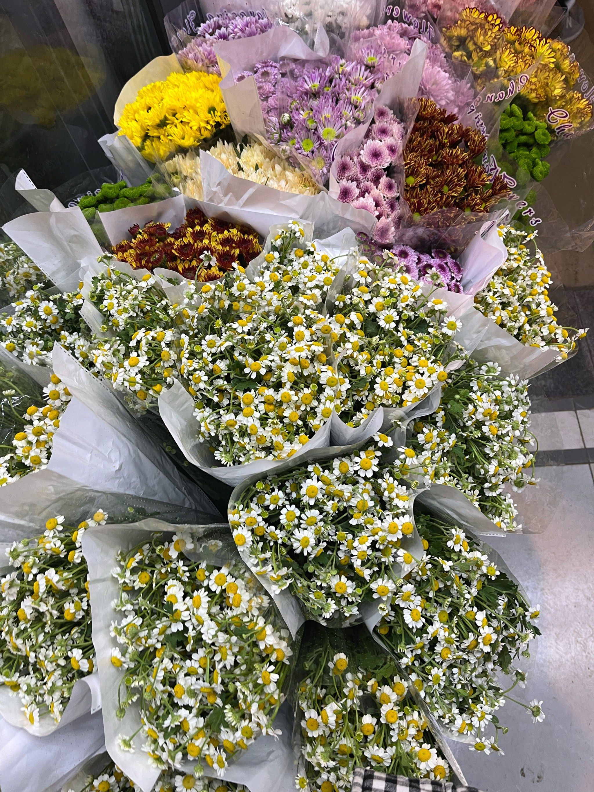 望京附近花卉市场