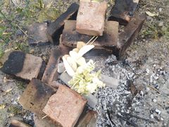 -塘栖枇杷特色园区