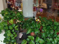 -山丹丹西北菜(金贸大厦店)