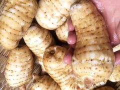 -五里多农博广场