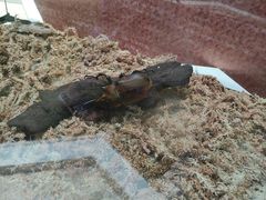 -中国杭州低碳科技馆