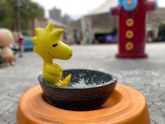 -史努比缤纷世界