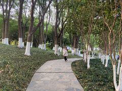 -昆山城市公园